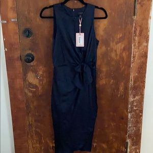 NWT Ted Baker Dress